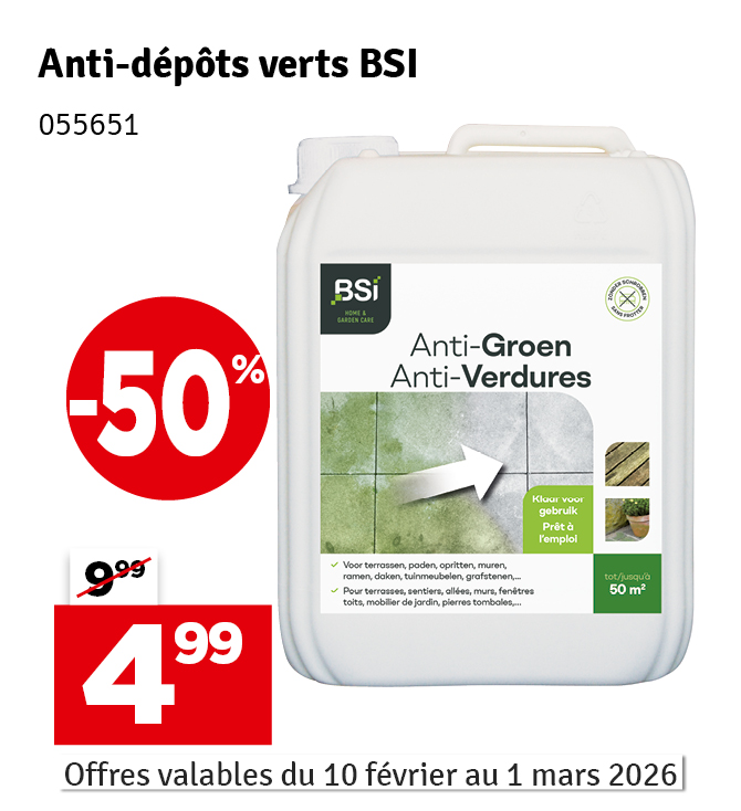 Anti-dépôts verts 5 L BSI